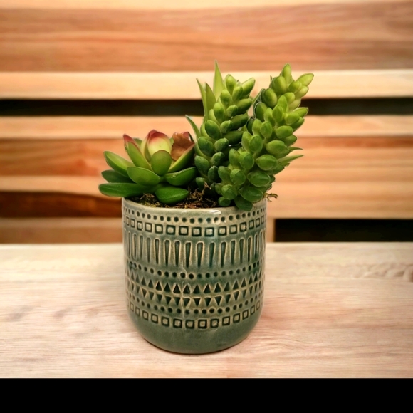 Other - Faux Succulents in a 2" pot